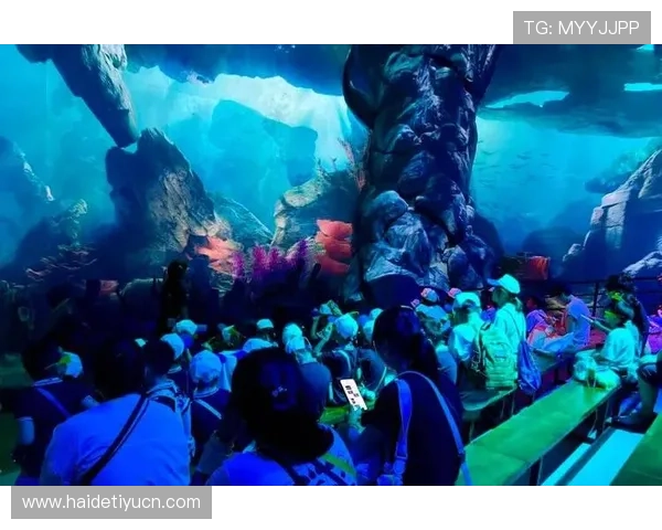 海星海洋旅游项目正式启动为游客提供沉浸式深海探险体验