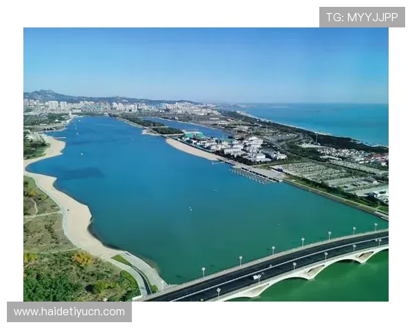 赛搏体育引领中国体育产业新变革，打造全球领先的体育赛事平台